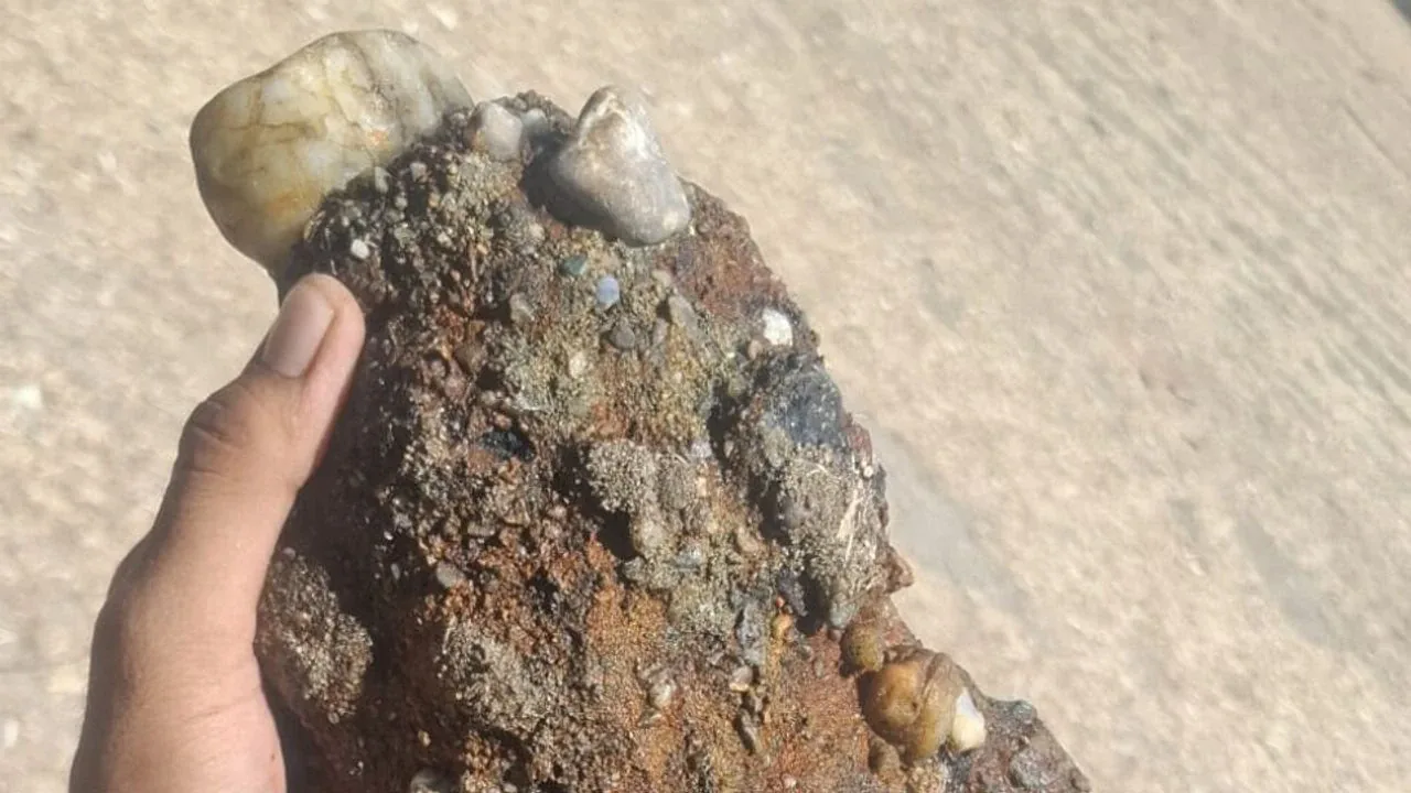 Çanakkale’de Sahilde Patlamamış Askeri Mühimmat Tespit Edildi