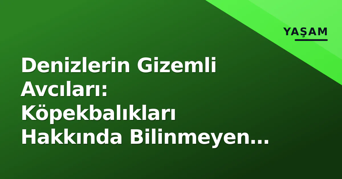 Denizlerin Gizemli Avcıları: Köpekbalıkları Hakkında Bilinmeyen Gerçekler