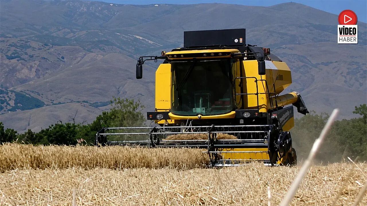 Erzincan Belediyesi Hububat Tarlalarında Hasat Başladı