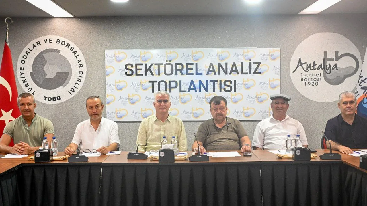 Antalya’da zeytin rekolte %40 artış beklentisi: 70 bin ton hedefi