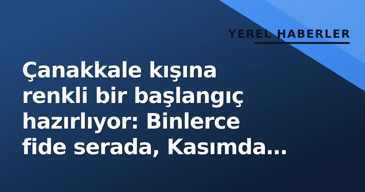 Çanakkale kışına renkli bir başlangıç hazırlıyor: Binlerce fide serada, Kasımda sokaklarda