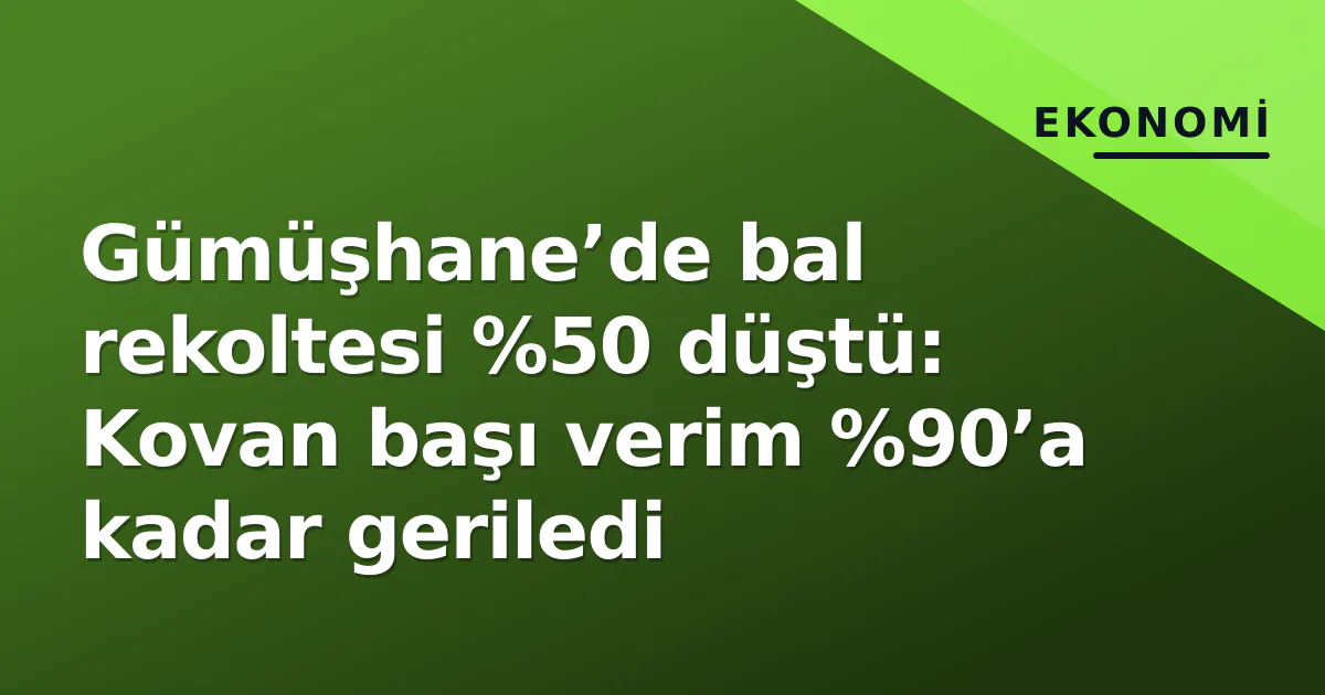 Gümüşhane’de bal rekoltesi %50 düştü: Kovan başı verim %90’a kadar geriledi
