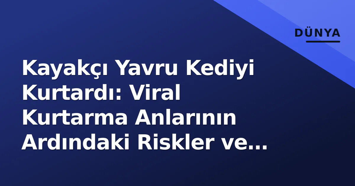 Kayakçı Yavru Kediyi Kurtardı: Viral Kurtarma Anlarının Ardındaki Riskler ve Protokoller