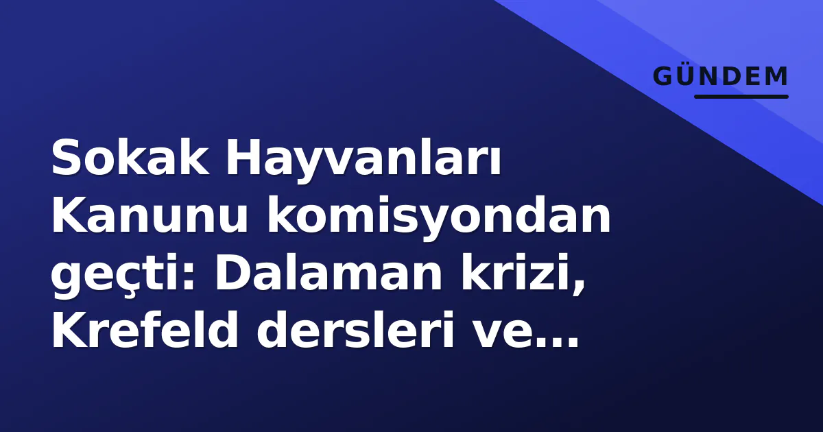 Sokak Hayvanları Kanunu komisyondan geçti: Dalaman krizi, Krefeld dersleri ve bilimsel etik yeni gündemi belirliyor
